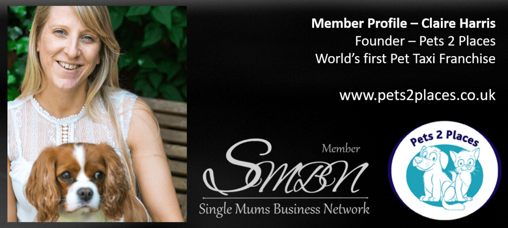 Pets 2 Places Pet Taxi Franchise
Buckinghamshire
Milton Keynes
SMBN