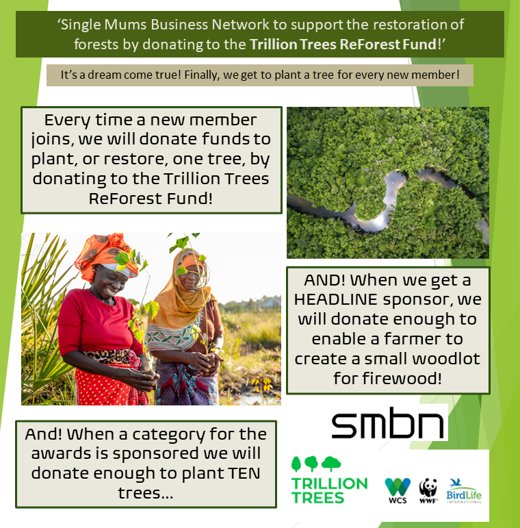 Trillion Trees ReForest Fund – Single Mums Business Network [SMBN CIC]